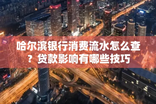 哈尔滨银行消费流水怎么查?贷款影响有哪些技巧